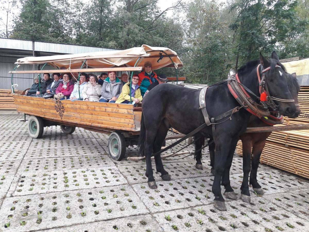 Agroturystyka U Misia Niedźwiedź Extérieur photo